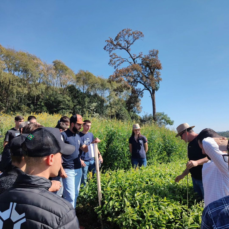 Estrutura do curso -  Agronomia