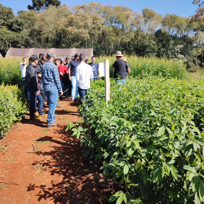 Estrutura do curso -  Agronomia