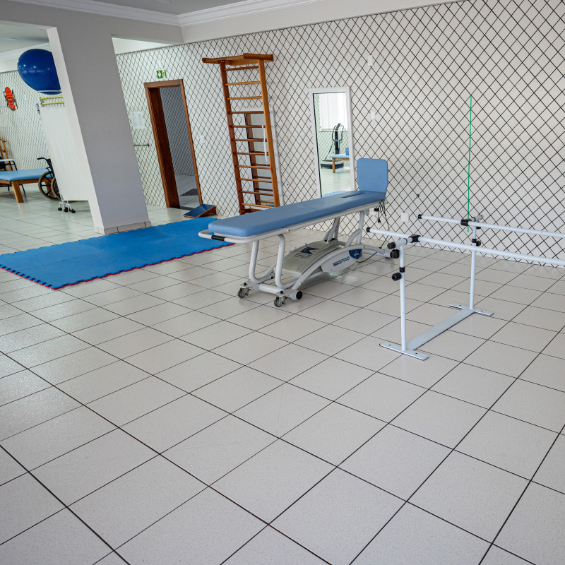 Estrutura do curso - Fisioterapia