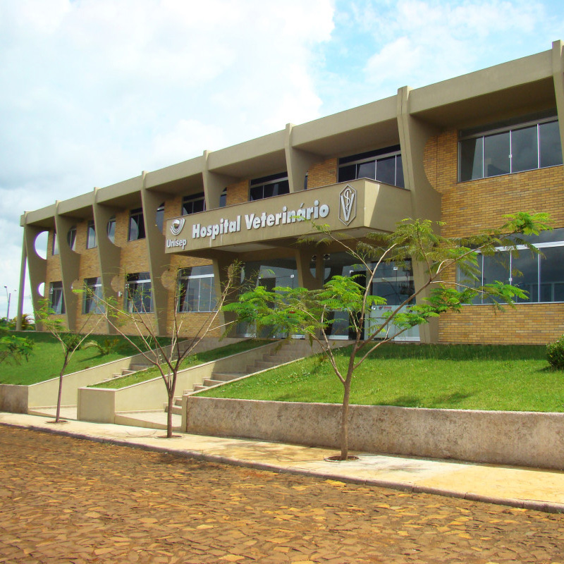 Estrutura do curso - Medicina Veterinária
