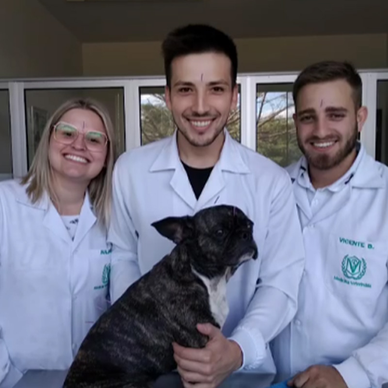 Estrutura do curso - Medicina Veterinária