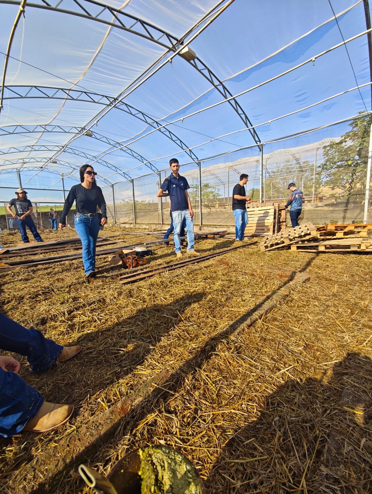 Curso de Agronomia da Unisep em Dois Vizinhos implanta projeto de forragem hidropônica para ensino e pesquisa