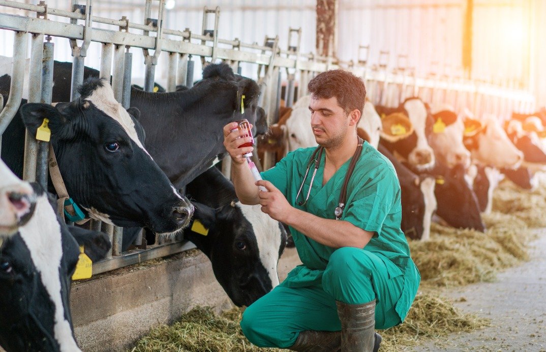 Dia do Médico Veterinário: uma profissão essencial para o desenvolvimento da nossa região